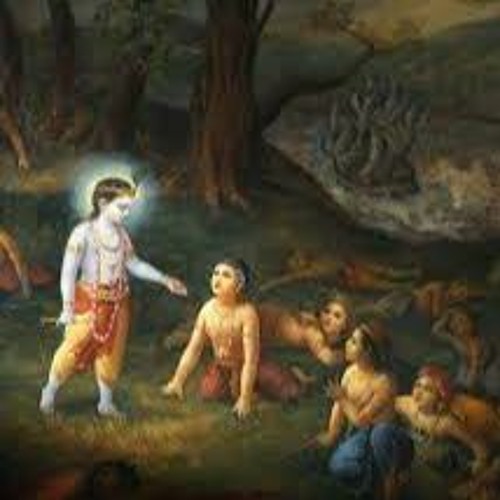 6- Don’t Leave the Association of Devotees