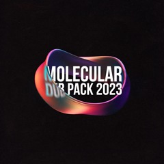 Molecular Dub Pack 2023 Minimix (SOLD OUT)