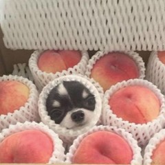 (っ'-')╮=͟͟͞͞    🍑
