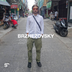 SYSTEM108 PODCAST 294: BRZHEZOVSKY