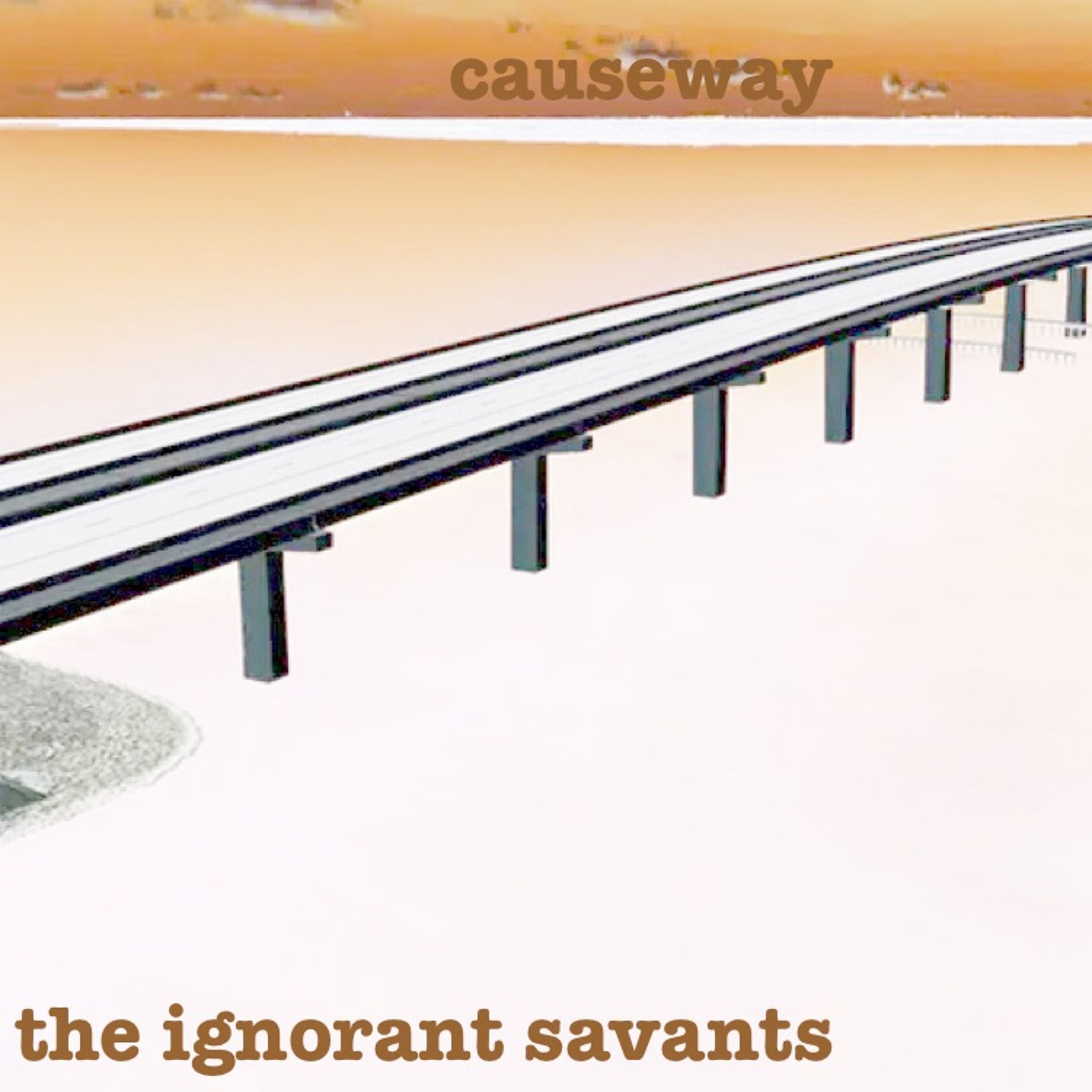 the ignorant savants