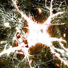 Golden Glia