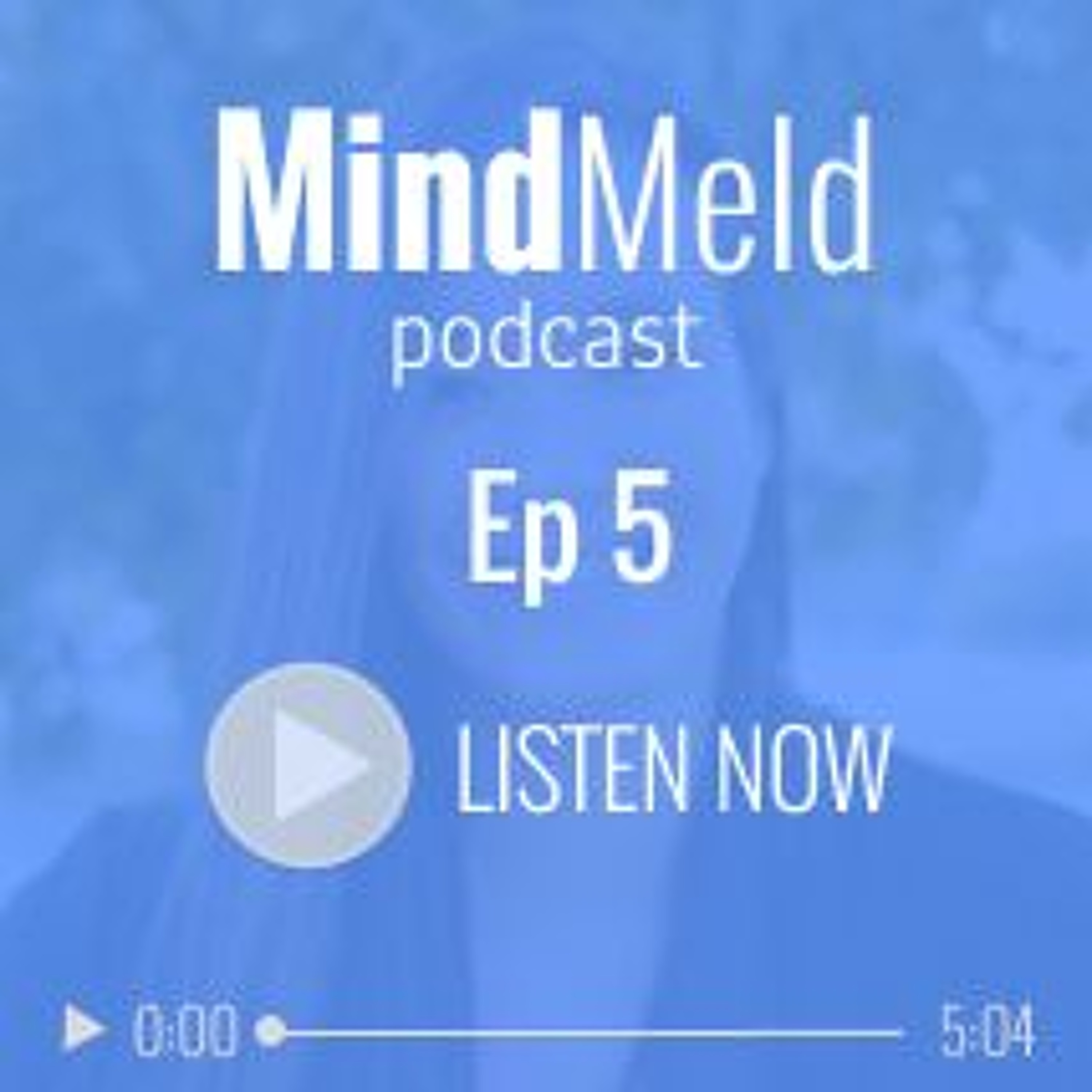 MindMeld by DeveloperTown