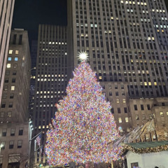 cryteria - hellcat (saunderysick) [wishukould EXCLUSIVE]