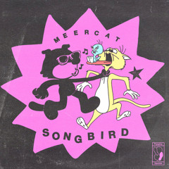 Meercat - Songbird