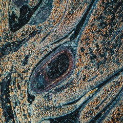 Scrap Song from 2017