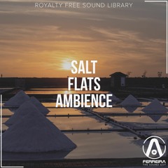 Salt Flats Ambience - Overview
