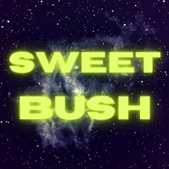Sweet Bush