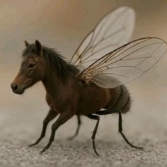 T!mo mali crnac (prod. T!mo)