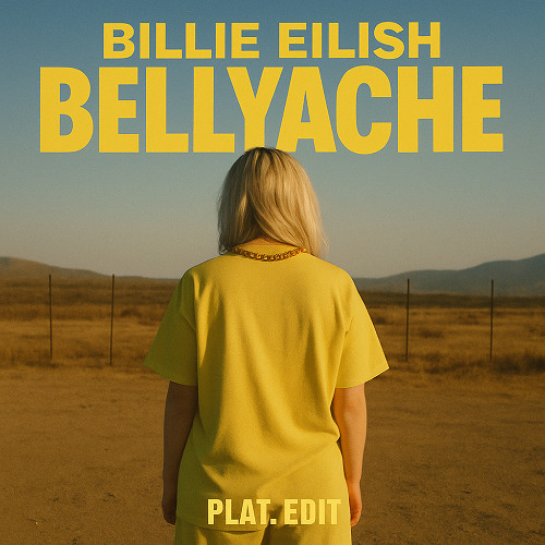 Billie Eilish - Bellyache (PLAT. Bass House Edit)