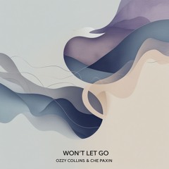 Won`t Let Go