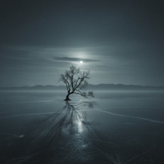 People do not like me 2025