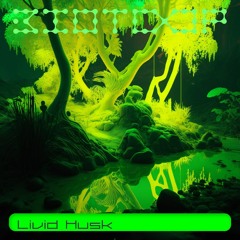 Livid Husk - Biotoop DJ-Night #3