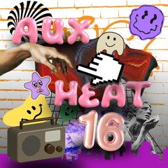 Aux Heat Radio 16