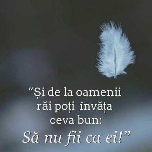 ZENYS & ELYS - Adio, iubirea mea