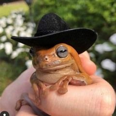 I Like Frogs - kiwan