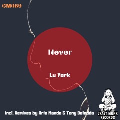 Never (Original Mix)