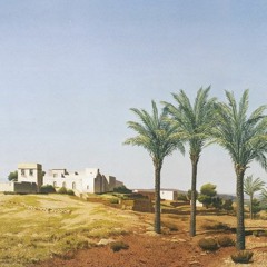 Whispering Palms