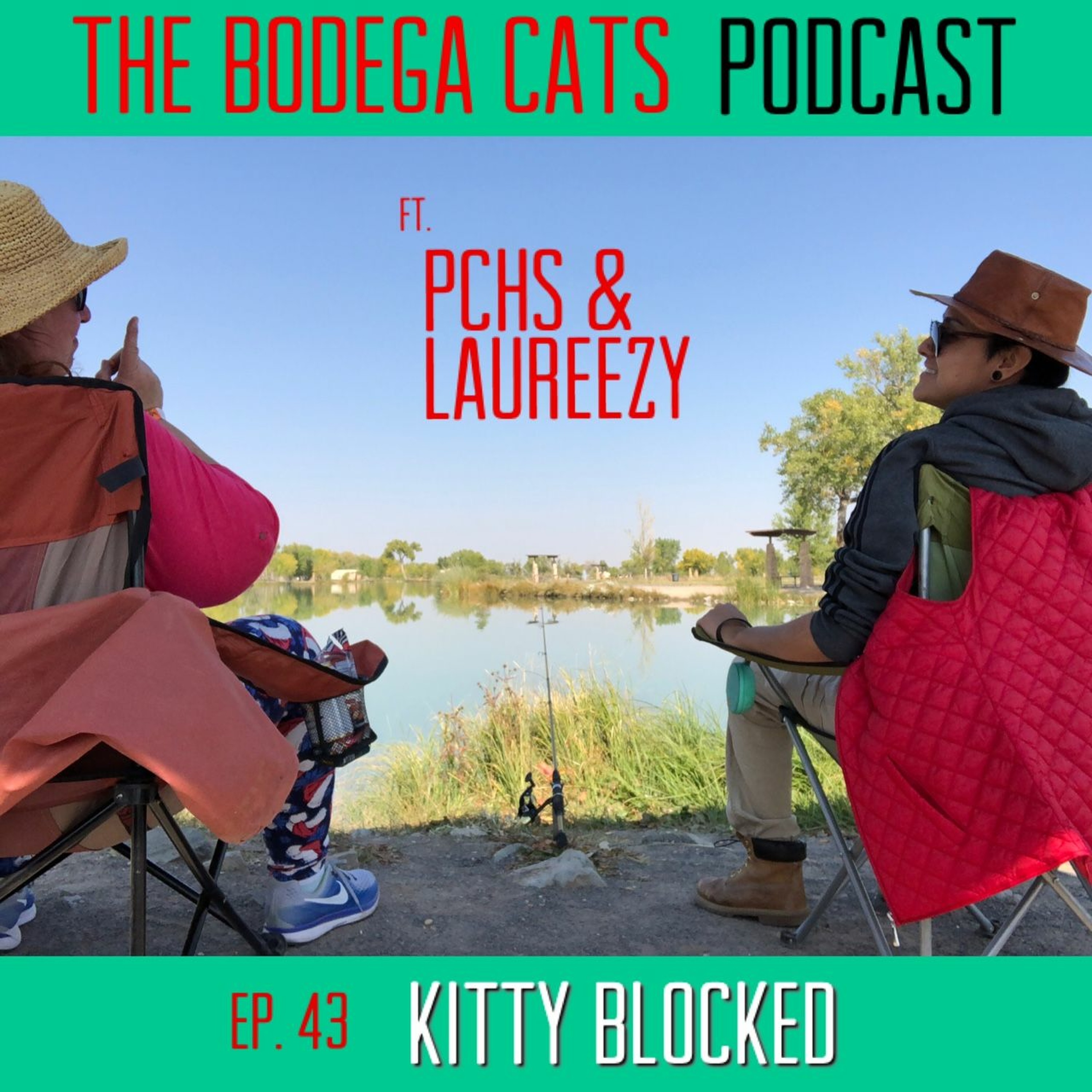 The Bodega Cats Podcast