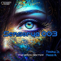 Sensorya 003 - The Meaning Of Life (The Witch Doctor Live)