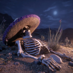 Shadow of the Moon