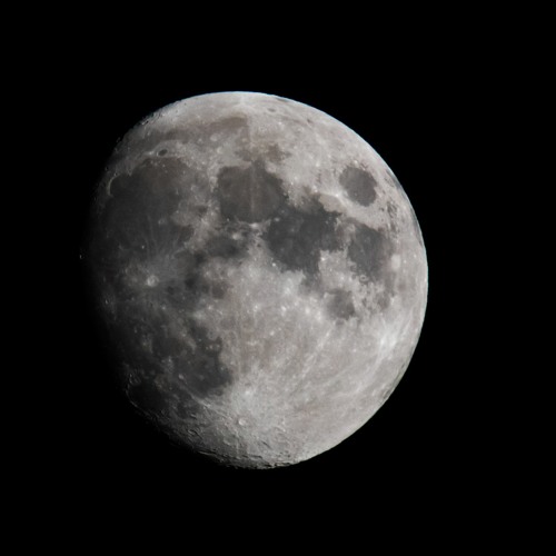 Stream Mating Common Frogs by Irish Wildlife Sounds Listen online for