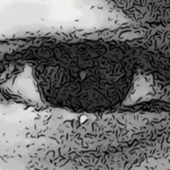 LSDMTHC