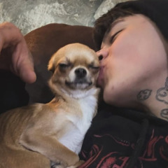 LIGHTS OFF - STRANGEHUMAN (SNIPPET)