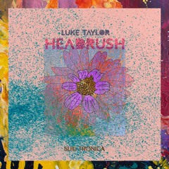 PREMIERE: Luke Taylor — Headrush feat. Acid Grove (Original Mix) [Suid Tronica]