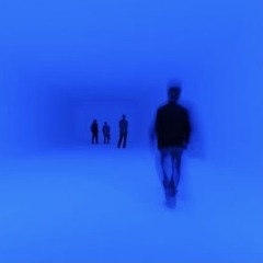 Cobalt D