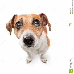 MALDITO ANTISOCIAL - JANE(SLOWED + REVERB)