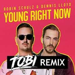 Robin Schulz & Dennis Lloyd - Young Right Now (TOBI Remix)
