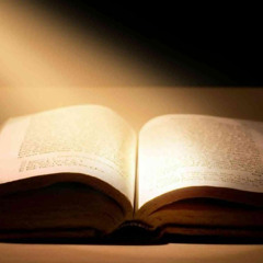 Look To Christ And Live