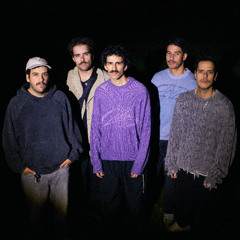 THEM FLYING MONKEYS - BIGBOY