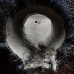 Am I Real? (shoegaze noise version)