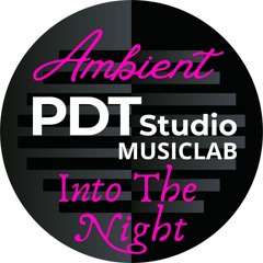 Into the night (Paolo Diotti) SAMPLE