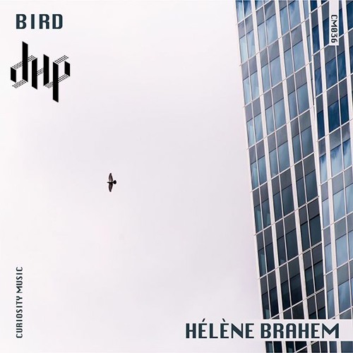 FULL PREMIERE : Hélène Brahem - Wood (Skøllaris Late Night Mix) [Curiosity Music]