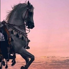 فرقة الحضرة و انشاد و مدح رائع في قطار الصعيد الجزء الاول (192 kbps).mp3