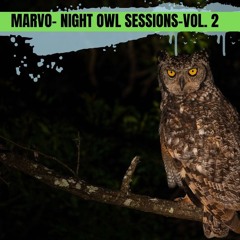 Marvo Night Owl Sessions Vol 2