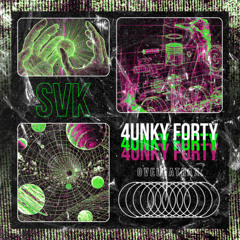 SVK - Critical Zone