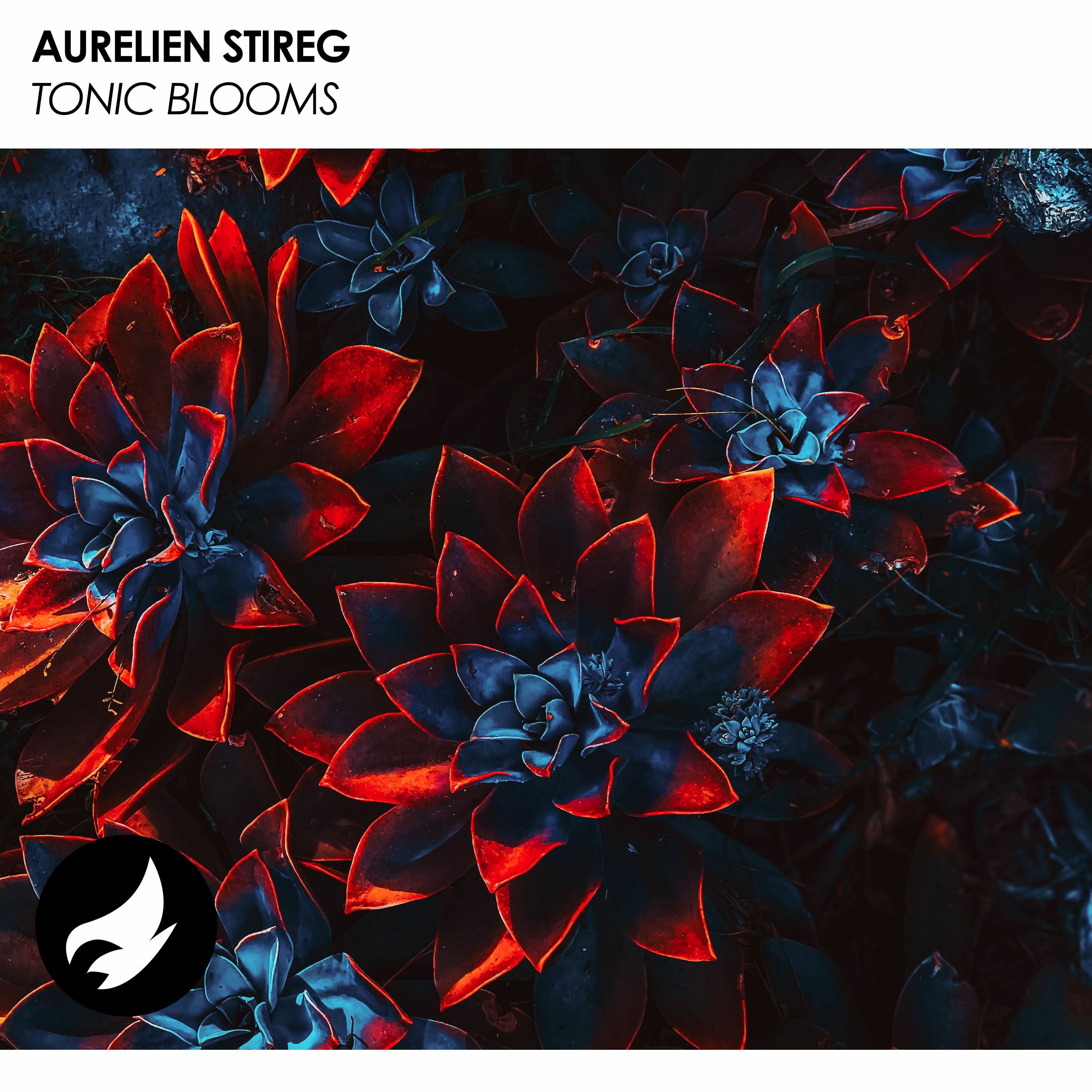 Aurelien Stireg