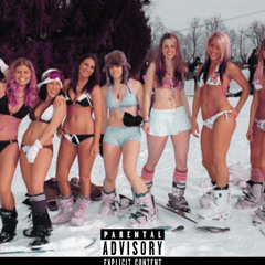 SNOW BUNNIES / NIKO ZONE