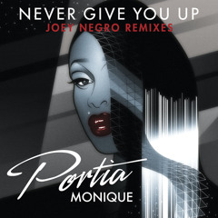 Never Give You Up (Joey Negro Rodox Dub)