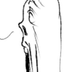 The Grim Reaper's Doorstep