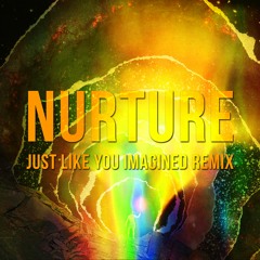 Thornhill - Nurture (JUST LIKE YOU IMAGINED Remix)