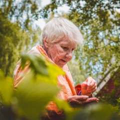 What's Right: A Woman’s Nose Inspires a Breakthrough in Parkinson’s Detection