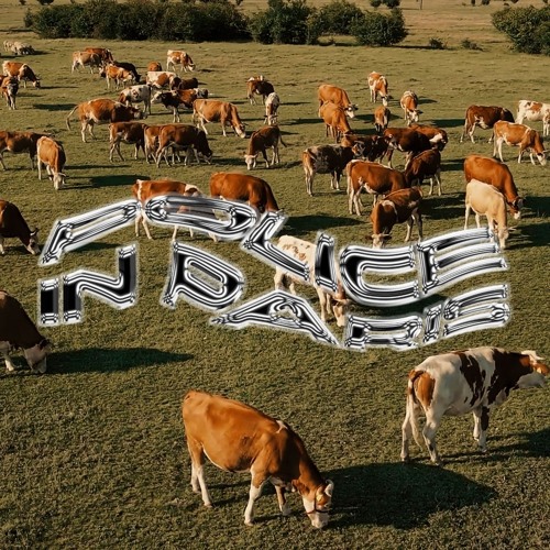 20 COWS, 2 IPHONES, 1 DJ CONTROLLER [TECHNO DJ SET IN THE FIELD]