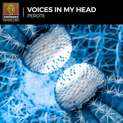 Perote - Voices In My Head