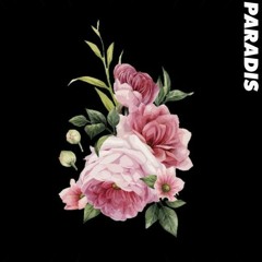 PARADIS