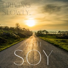 driving slowly.. with soy